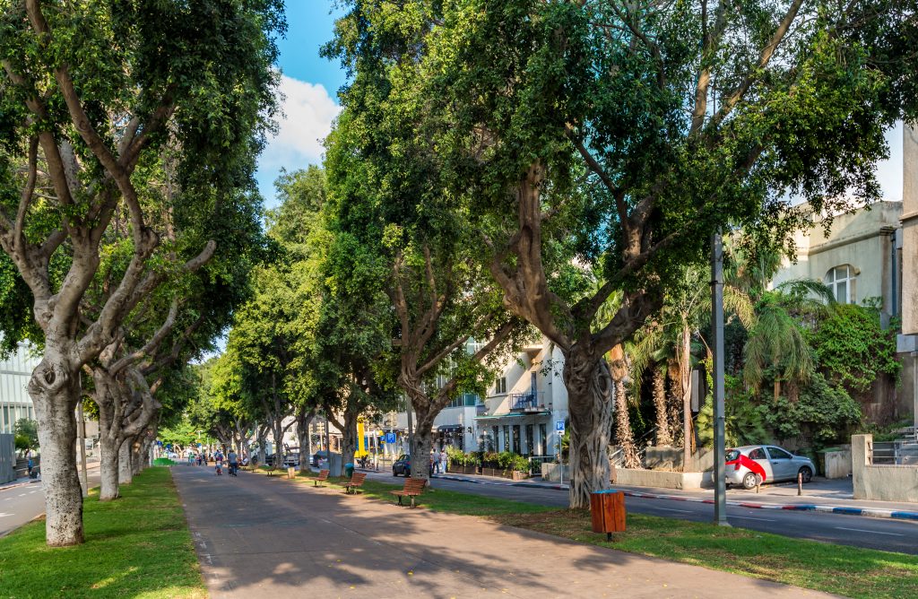 Rothschild Boulevard, Tel Aviv
