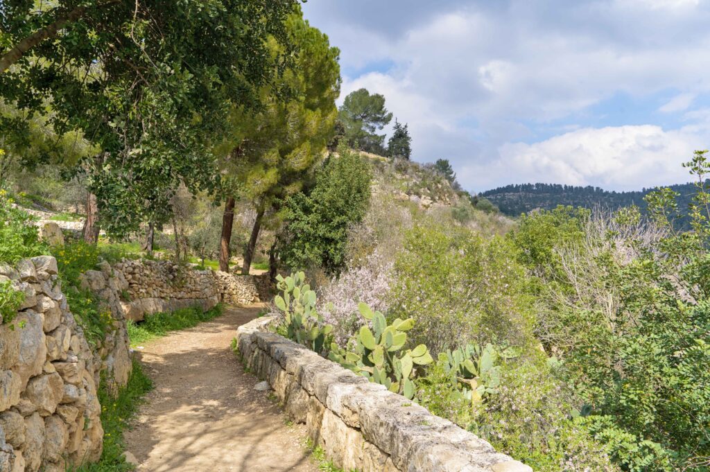 Walking path in the Jerusalem mountains in Sataf in the spring