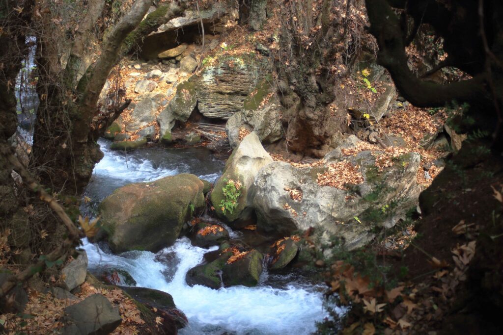 banias nature reserve israel