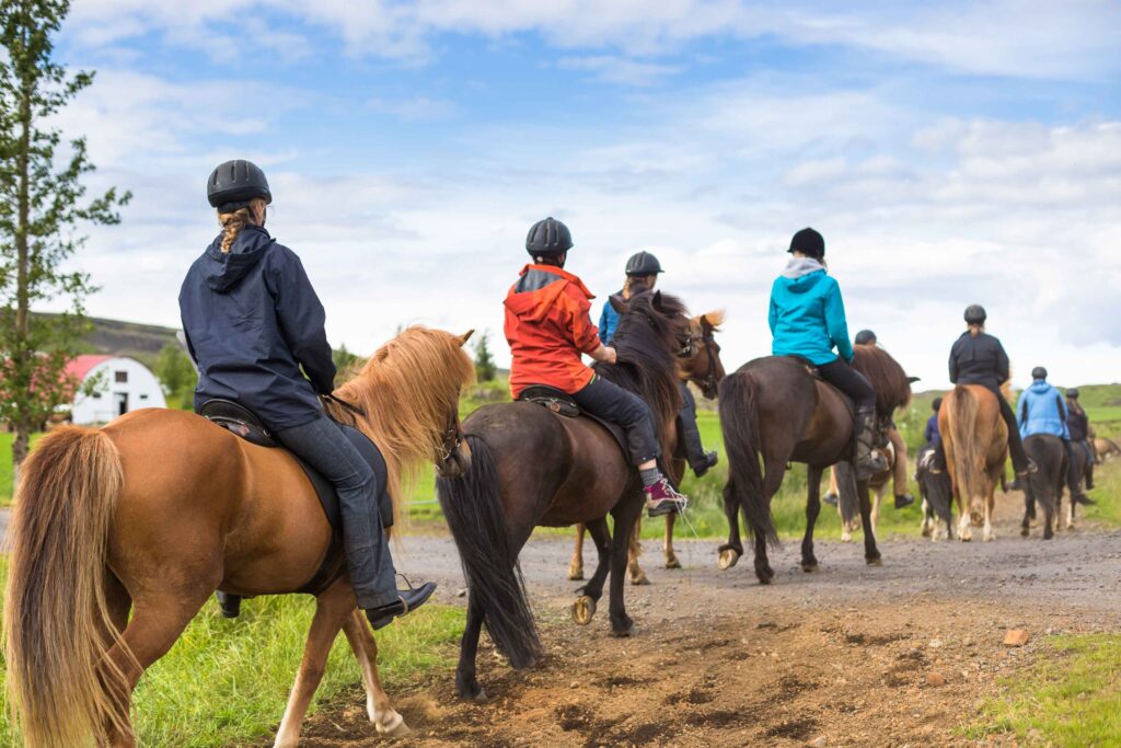 horseback riding in israel