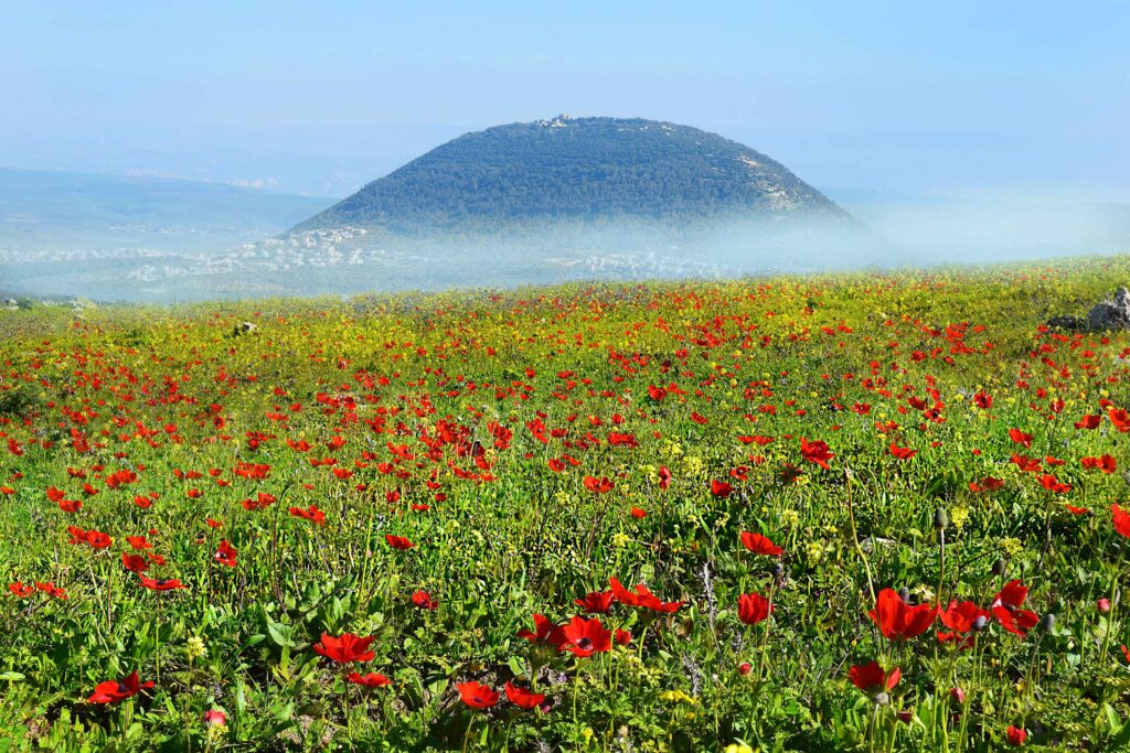 mount tabor israel vacation