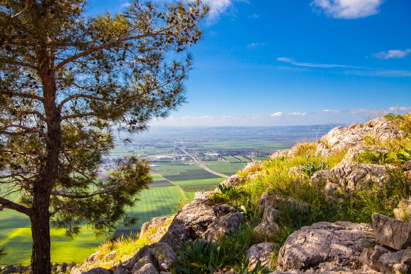 Tel Jezreel