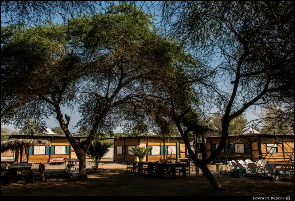 Shkedi's Camplodge