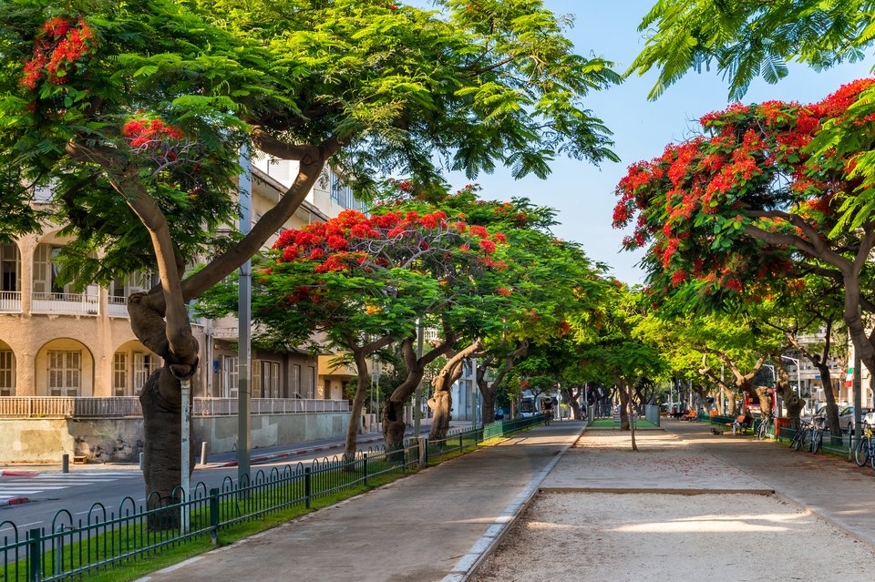 rothschild boulevard tel aviv