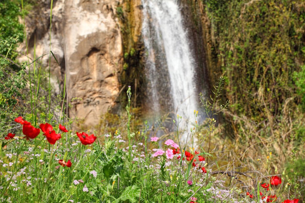 canyoning in the black canyon golan heights