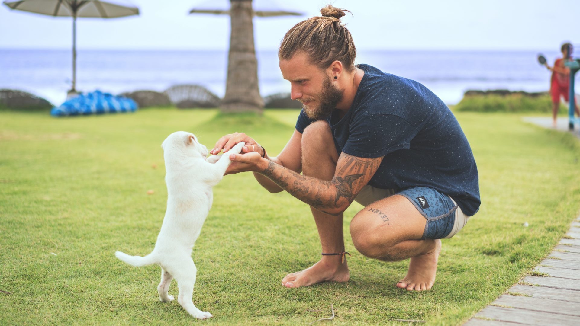 Tel Aviv Dogs