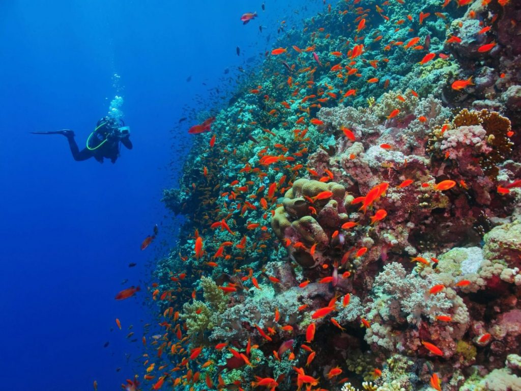 Eilat