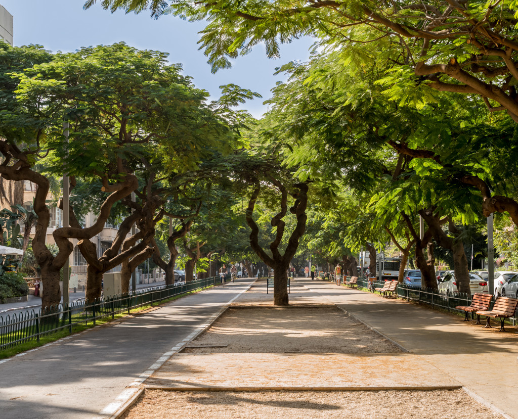 Rothchild BLVD is one of the best places to stay in while you are visiting Tel Aviv