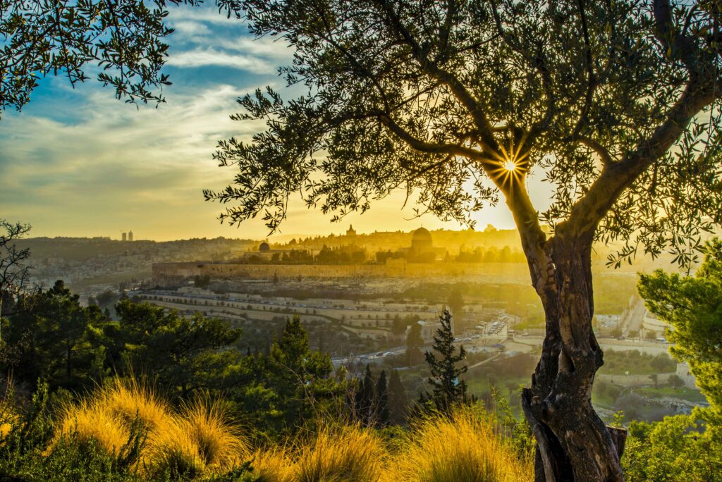 holy sites in jerusalem mount zion
