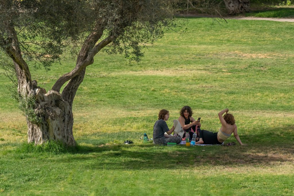 gan sacher park best picnic spot israel