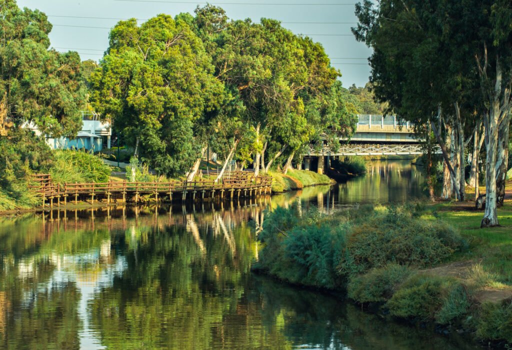 tel aviv hayarkon picnic