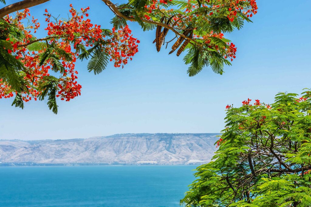 sea of galilee marathon israel