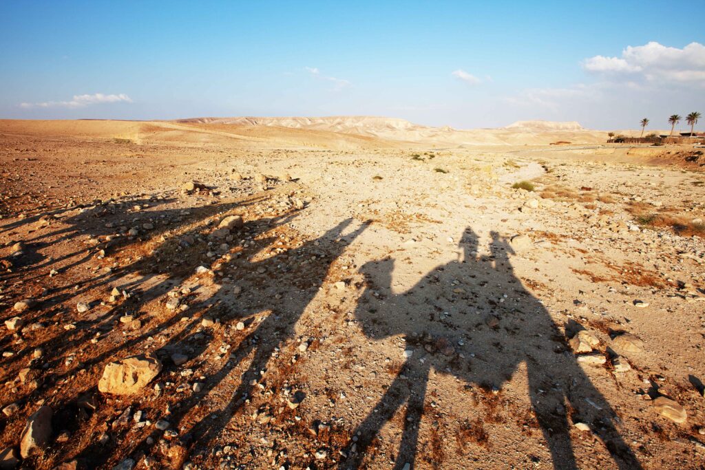 solo travel israel camels